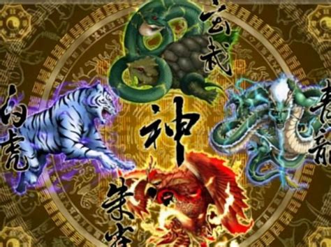 左青龍右白虎怎麼看|青龍、白虎、朱雀、玄武...神獸4方位簡易居家風水檢。